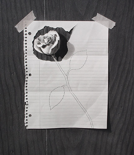 http://www.jdhillberry.com/images/paper-rose-web-small.jpg